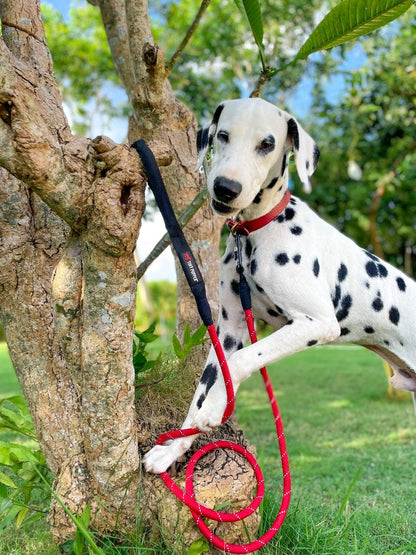 Tuff Pupper - Sentry - Rope Leash - Crimson Red