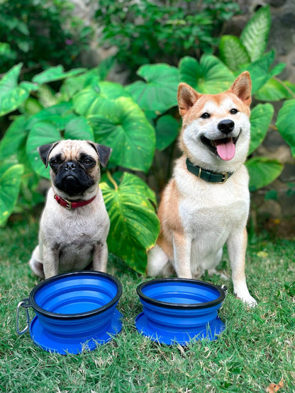 Tuff Pupper - 2 x 40oz Slurp - Collapsible Bowls - Nebulas Blue