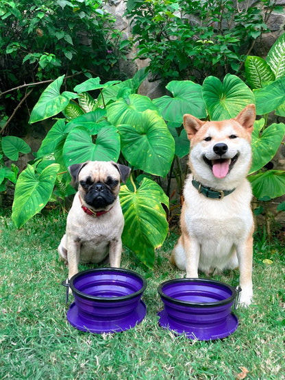 Tuff Pupper - 2 x 40oz Slurp - Collapsible Bowls - Ultra Violet