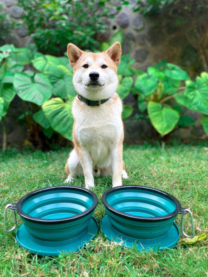 Tuff Pupper - 2 x 40oz Slurp - Collapsible Bowls - Quetzal Green