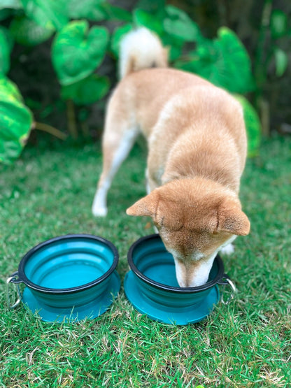 Tuff Pupper - 2 x 40oz Slurp - Collapsible Bowls - Quetzal Green