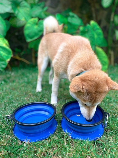 Tuff Pupper - 2 x 40oz Slurp - Collapsible Bowls - Nebulas Blue