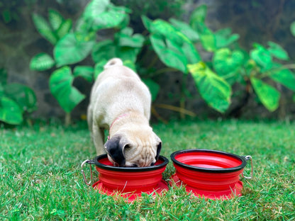 Tuff Pupper - 2 x 40oz Slurp - Collapsible Bowls - Crimson Red