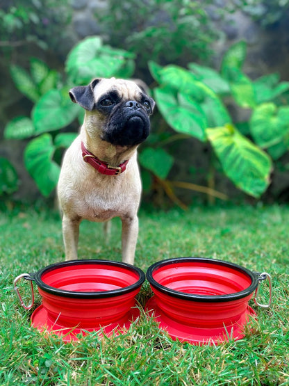 Tuff Pupper - 2 x 40oz Slurp - Collapsible Bowls - Crimson Red