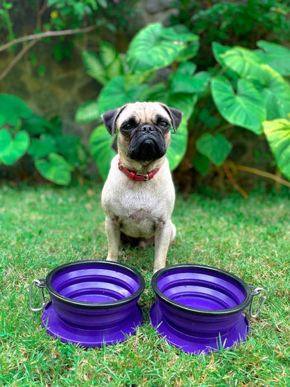 Tuff Pupper - 2 x 40oz Slurp - Collapsible Bowls - Ultra Violet