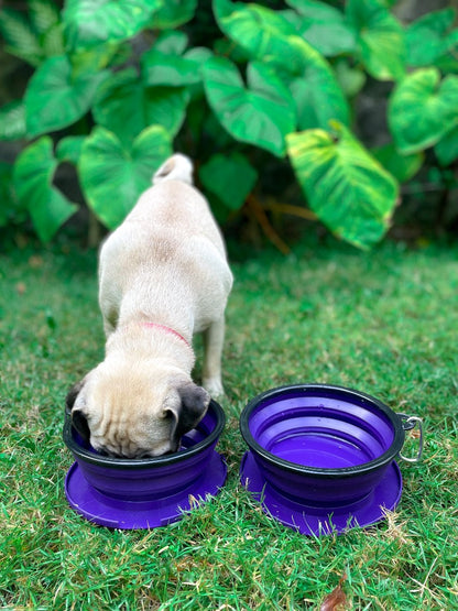 Tuff Pupper - 2 x 40oz Slurp - Collapsible Bowls - Ultra Violet