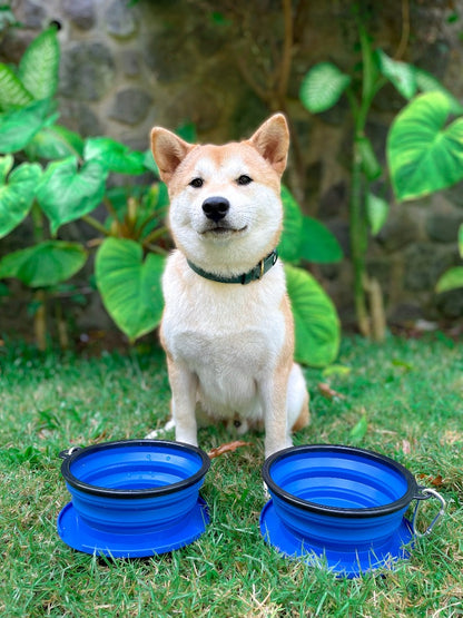 Tuff Pupper - 2 x 40oz Slurp - Collapsible Bowls - Nebulas Blue