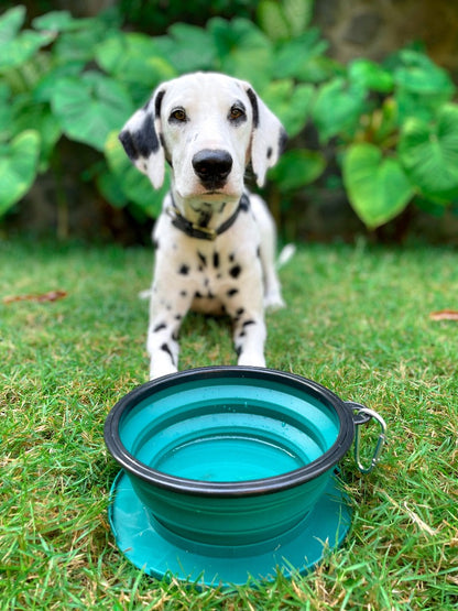 Tuff Pupper - 60oz Big Slurp - Collapsible Bowl - Quetzal Green