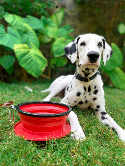 Tuff Pupper - 60oz Big Slurp - Collapsible Bowl - Crimson Red