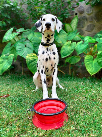 Tuff Pupper - 60oz Big Slurp - Collapsible Bowl - Crimson Red