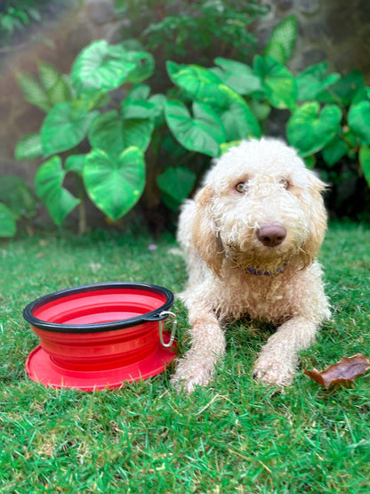 Tuff Pupper - 100oz XXL Slurp - Collapsible Bowl - Crimson Red