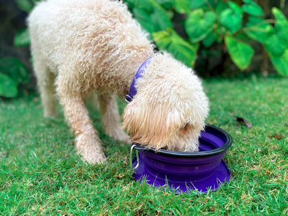 Tuff Pupper - 100oz XXL Slurp - Collapsible Bowl - Ultra Violet