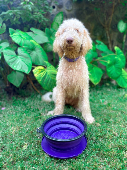 Tuff Pupper - 100oz XXL Slurp - Collapsible Bowl - Ultra Violet