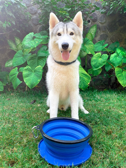 Tuff Pupper - 100oz XXL Slurp - Collapsible Bowl - Nebulas Blue