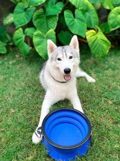 Tuff Pupper - 100oz XXL Slurp - Collapsible Bowl - Nebulas Blue