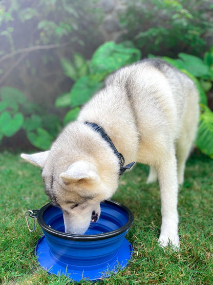 Tuff Pupper - 100oz XXL Slurp - Collapsible Bowl - Nebulas Blue