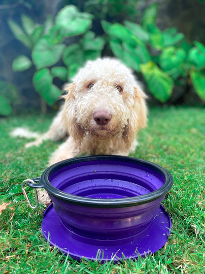 Tuff Pupper - 100oz XXL Slurp - Collapsible Bowl - Ultra Violet