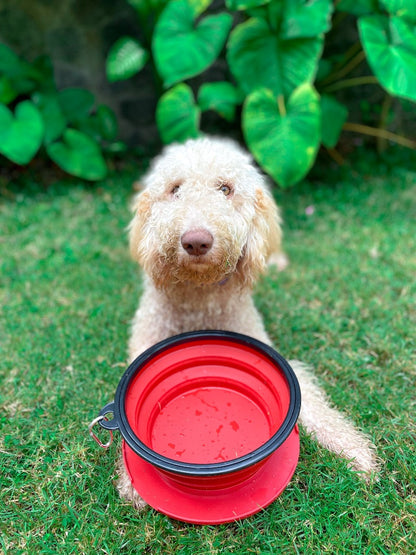 Tuff Pupper - 100oz XXL Slurp - Collapsible Bowl - Crimson Red