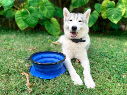 Tuff Pupper - 100oz XXL Slurp - Collapsible Bowl - Nebulas Blue