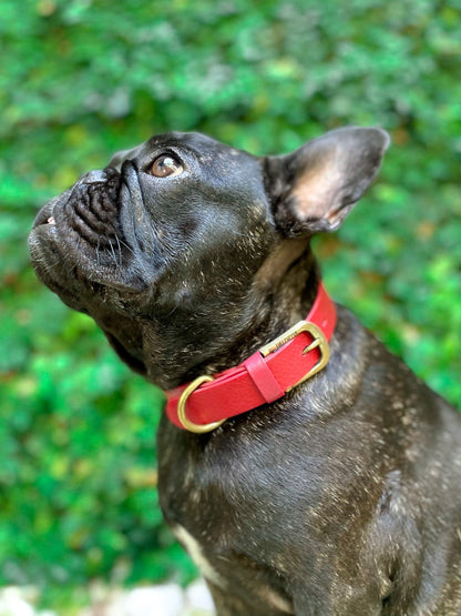 Tuff Pupper - Classic - Waterproof Collar - Crimson Red