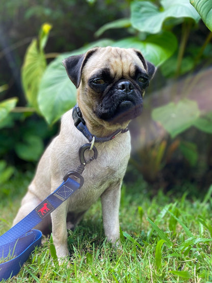 Tuff Pupper - Action - Tactical Leash - Midnight Blue