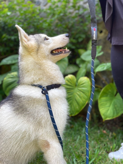 Tuff Pupper - Summon - Rope Slip Leash - Midnight Blue