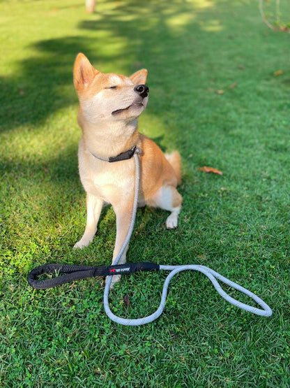 Tuff Pupper - Summon - Rope Slip Leash - Steel Grey