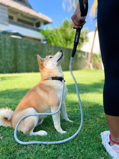 Tuff Pupper - Summon - Rope Slip Leash - Steel Grey