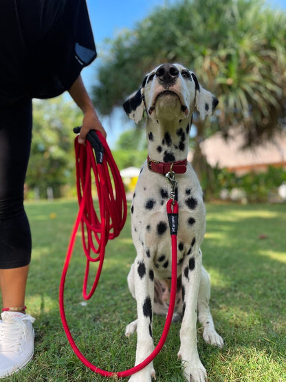 Tuff Pupper - Wander - Extended Leash - March Red