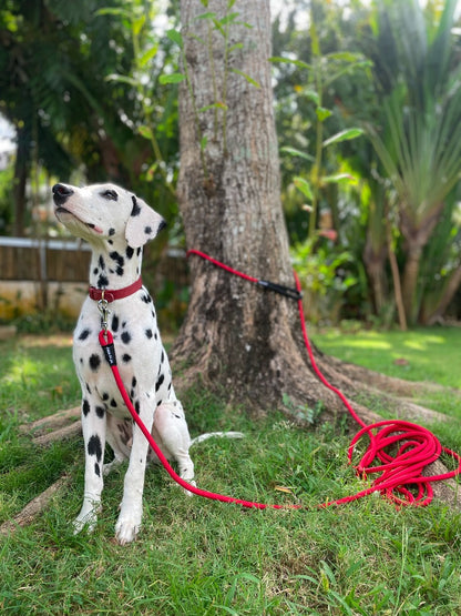 Tuff Pupper - Wander - Extended Leash - March Red