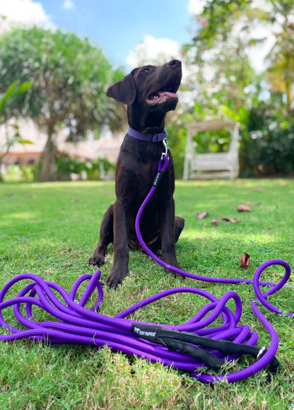 Tuff Pupper - Wander - Extended Leash - Purple