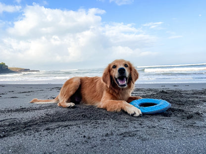 Tuff Pupper - Ring - Floaty Toy - Ring - Floaty Toy