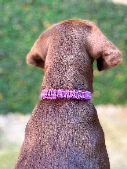 Tuff Pupper - Bungee Handle - Safety Collar - Purple