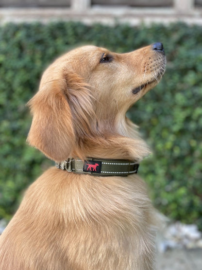 Tuff Pupper - Bungee Handle - Safety Collar - Olive