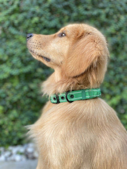 Tuff Pupper - Bungee Handle - Safety Collar - Forest Green