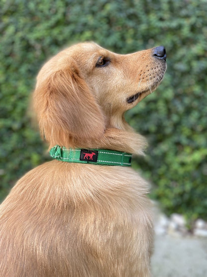 Tuff Pupper - Bungee Handle - Safety Collar - Forest Green