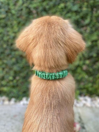 Tuff Pupper - Bungee Handle - Safety Collar - Forest Green