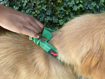 Tuff Pupper - Bungee Handle - Safety Collar - Forest Green