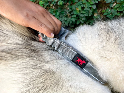 Tuff Pupper - Bungee Handle - Safety Collar - Steel Grey