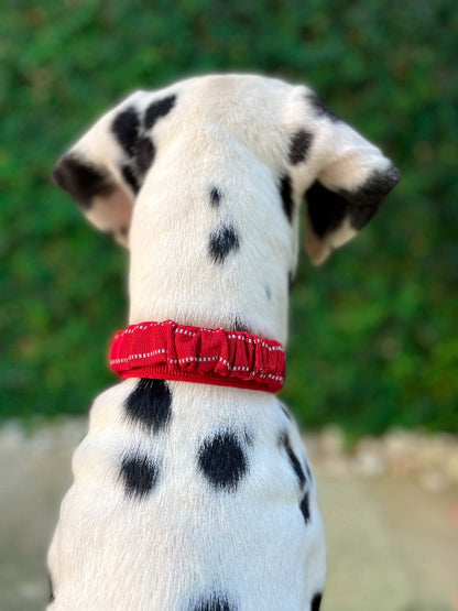 Tuff Pupper - Bungee Handle - Safety Collar - March Red