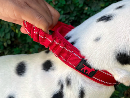 Tuff Pupper - Bungee Handle - Safety Collar - March Red