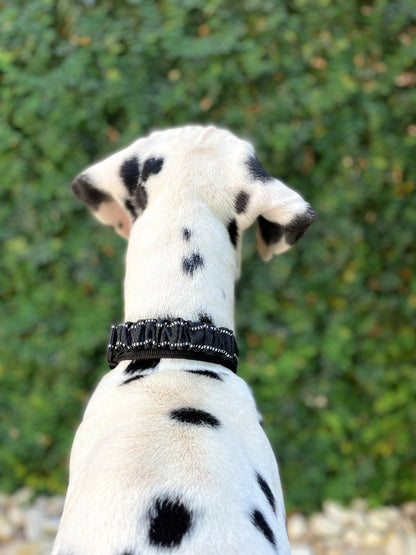 Tuff Pupper - Bungee Handle - Safety Collar - Epic Black