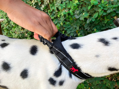 Tuff Pupper - Bungee Handle - Safety Collar - Epic Black