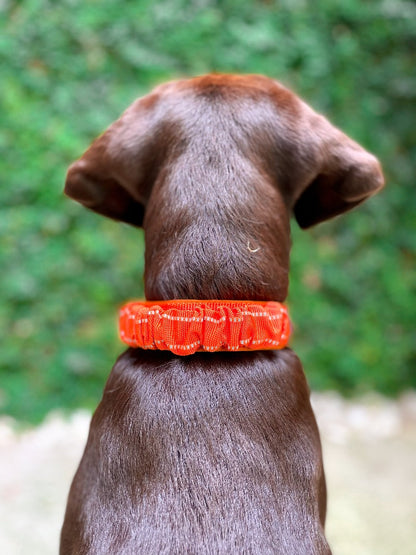 Tuff Pupper - Bungee Handle - Safety Collar - Orange