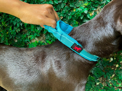 Tuff Pupper - Bungee Handle - Safety Collar - Teal