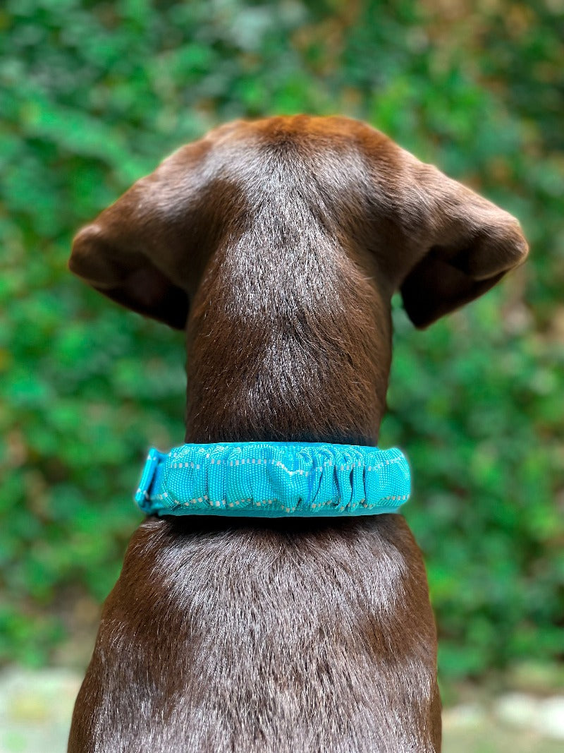 Bungee Handle - Safety Collar