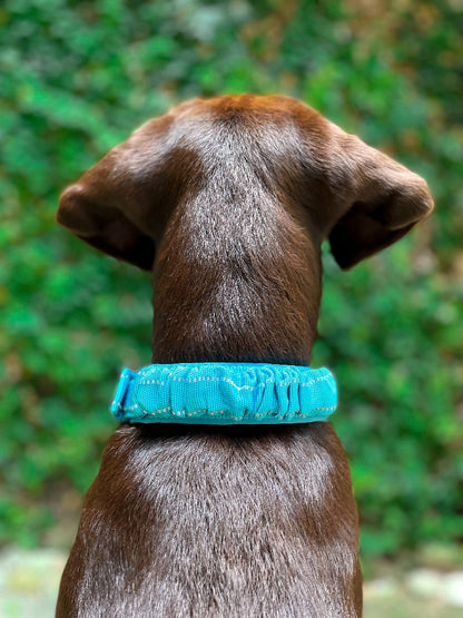 Tuff Pupper - Bungee Handle - Safety Collar - Teal