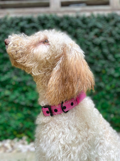 Tuff Pupper - Bungee Handle - Safety Collar - Hot Pink