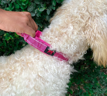 Tuff Pupper - Bungee Handle - Safety Collar - Hot Pink