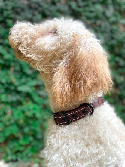 Tuff Pupper - Bungee Handle - Safety Collar - Woodland Brown